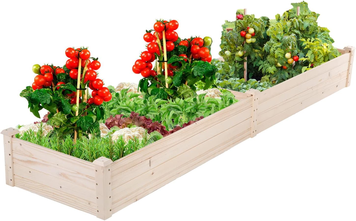 🌱 3-Tier Raised Garden Bed 🌿 Multi-Level Planter for Herbs & Vegetables 🏡✨